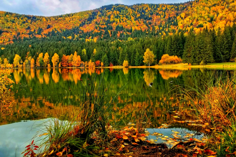 A természet varázslatos időszakainak kalendáriuma (DCXCII.)