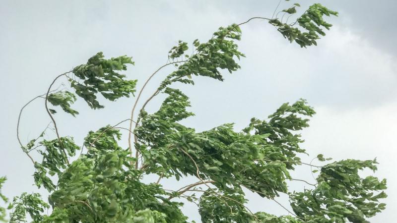 Figyelmeztető előrejelzés: komoly változásokra számíthatunk, ami vár ránk!