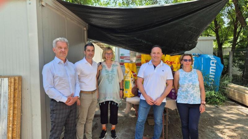 A menhelyen jobb életkörülmények várják a kóbor kutyákat, ahol szeretetteljes gondoskodással és biztonságos környezettel segítik őket.