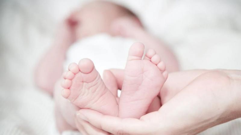 Szeretettel üdvözlünk benneteket, Alina, Hédi, Vince és Olivér! Fedezzétek fel velünk, hogy kik látták meg a napvilágot Szombathely varázslatos városában!