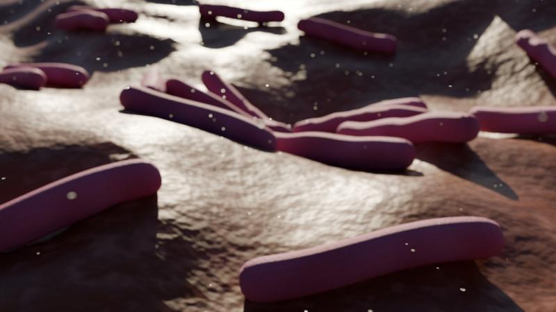 A lepra, más néven Hansen-kór, egy krónikus fertőző betegség, amelyet a Mycobacterium leprae baktérium okoz. A betegség tünetei fokozatosan jelentkeznek, és a lappangási idő változó, általában 2-7 év, de akár 20 évig is eltarthat. A lepra főbb tünetei köz