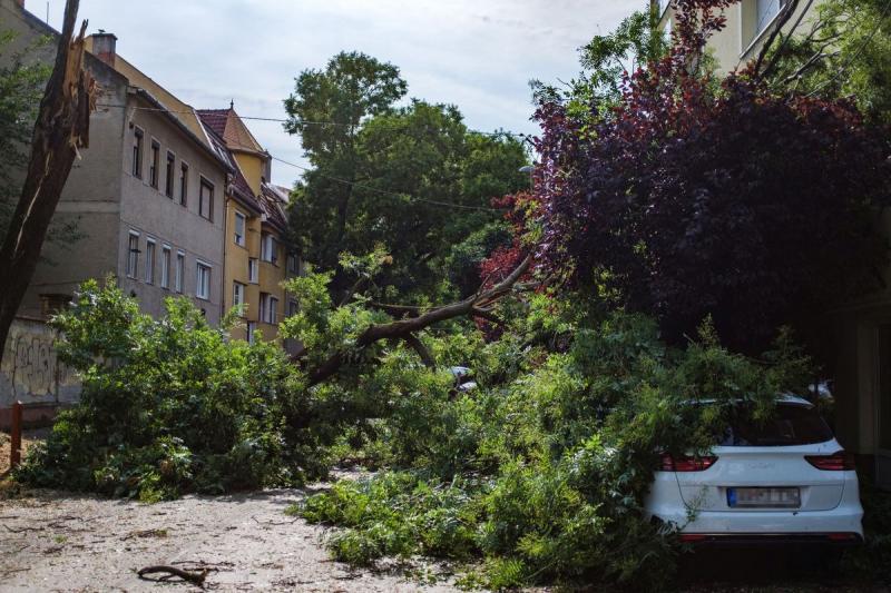 Nem okozott meglepetést: a vihar elvonulása után drasztikus emelkedést mutatott az ingatlan- és gépjárműbiztosítások megkötéseinek száma.